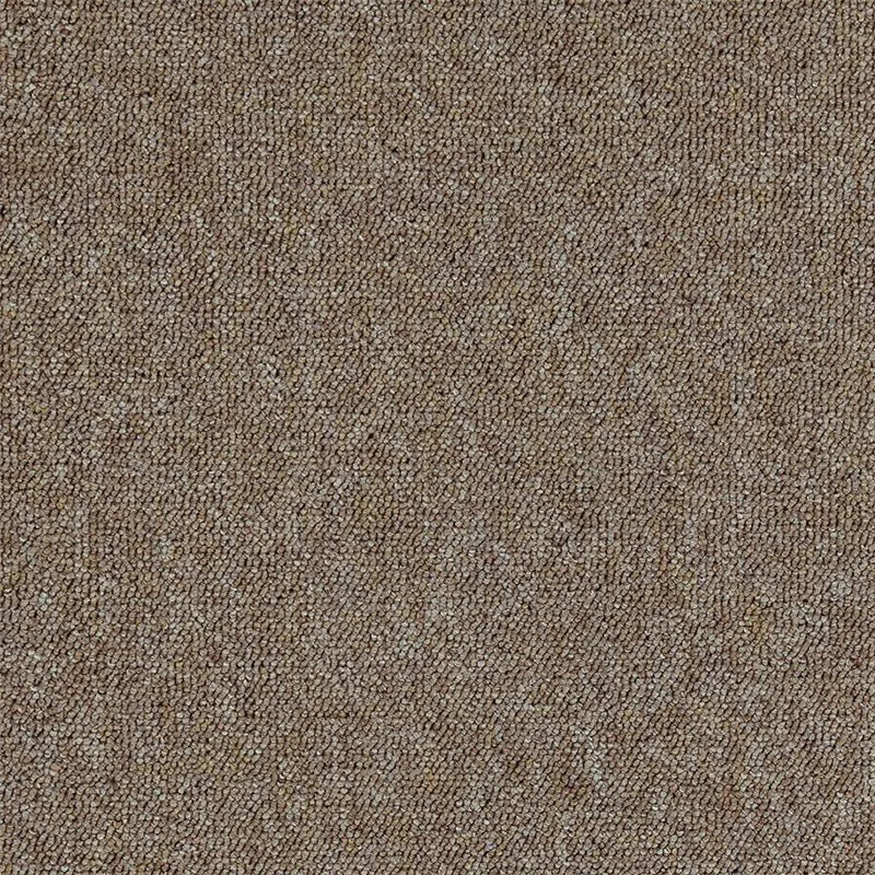 Verdi SAMPLE [SAMPLE]
