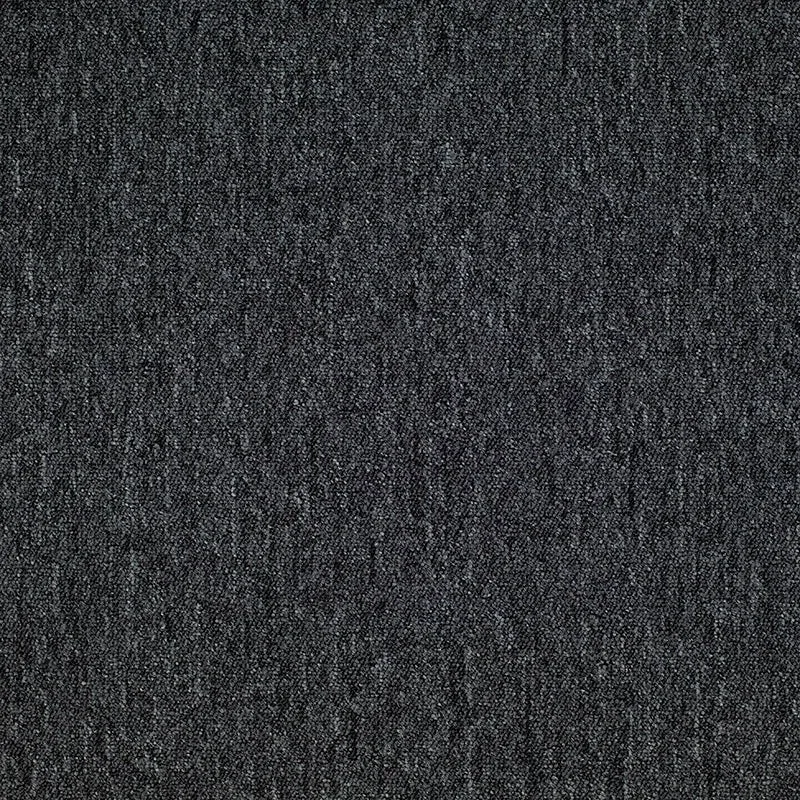 Sparta SAMPLE [SAMPLE]