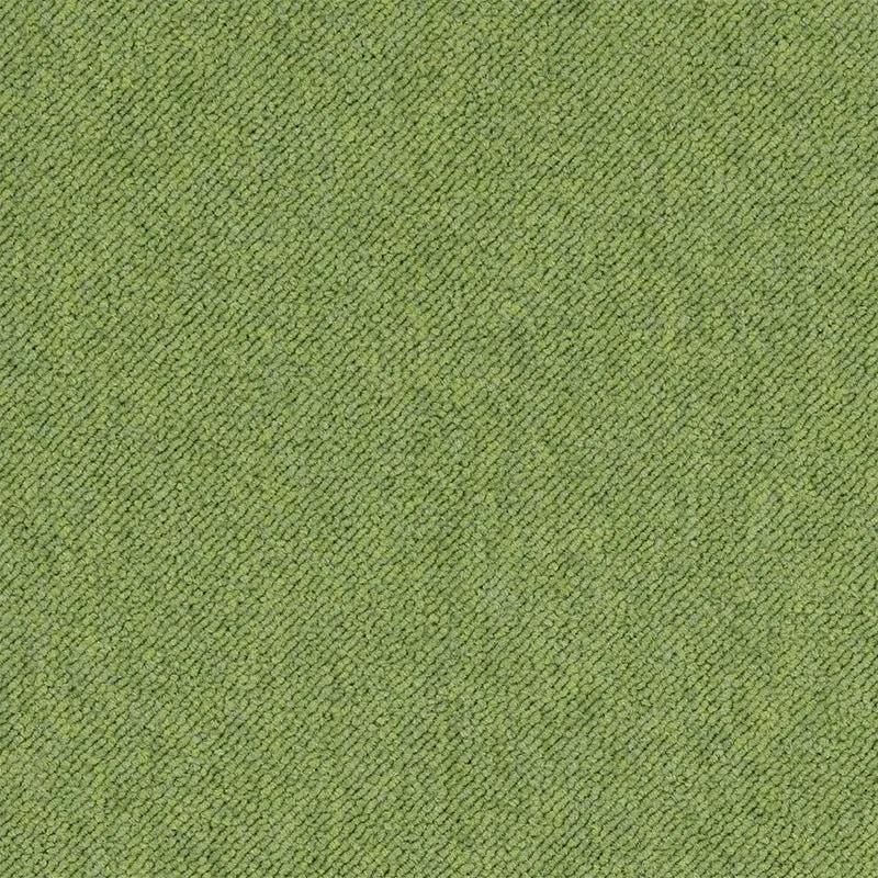 Meistro SAMPLE [SAMPLE]
