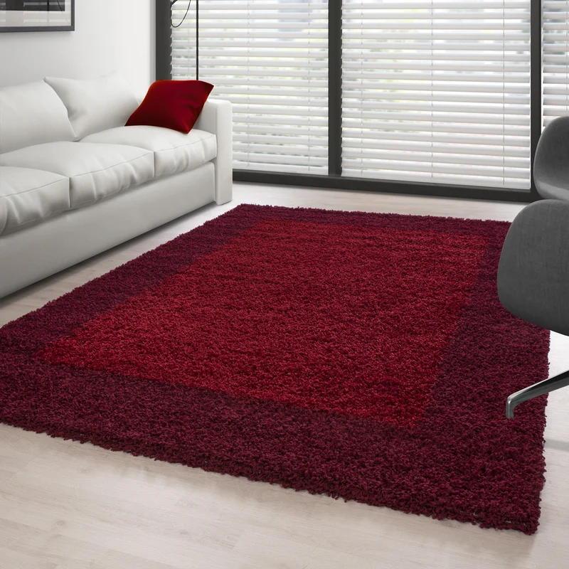 Shaggy Teppich Hochflor Langflor Wohnzimmer Teppich Gemustert in Bordüre Design