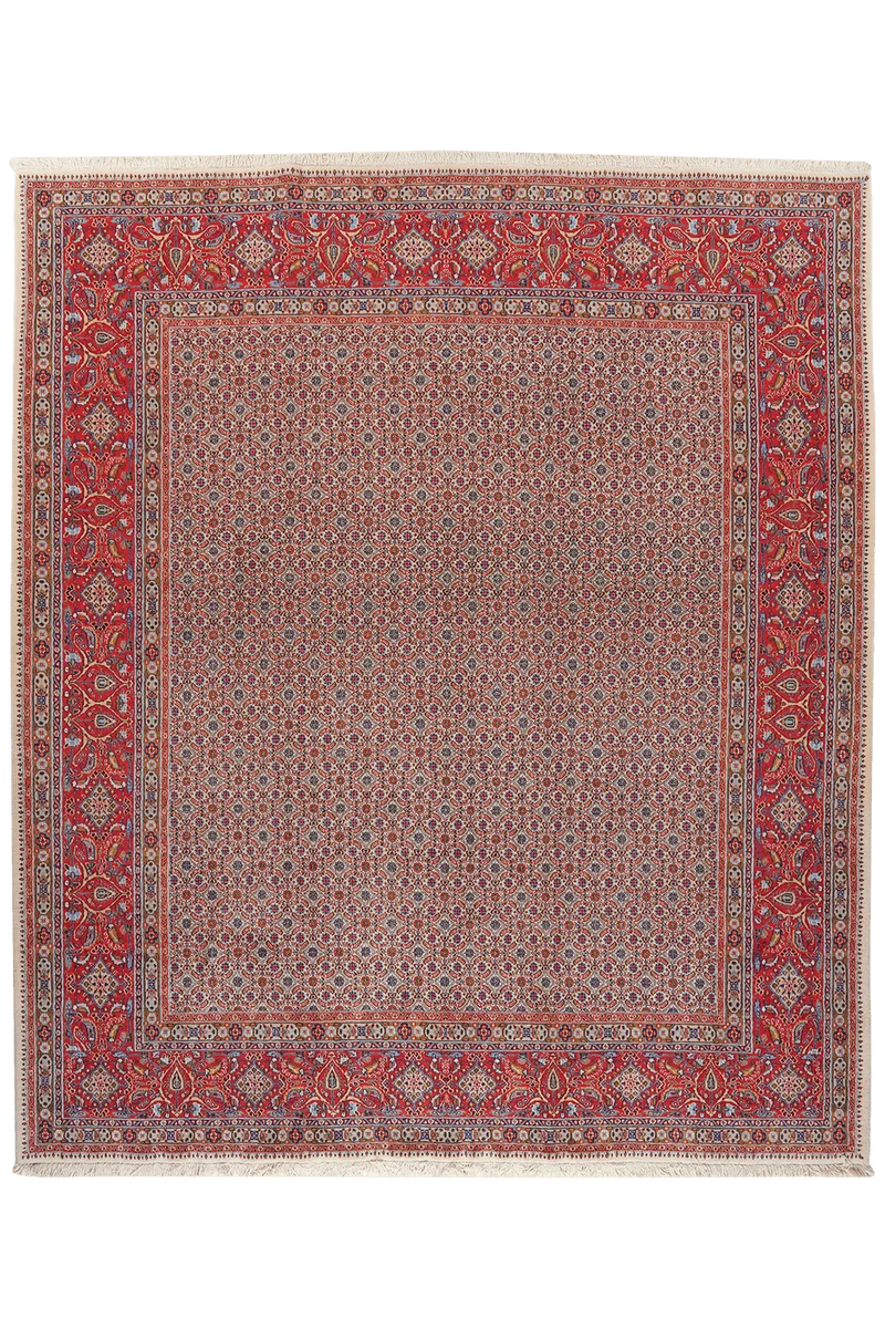 Moud Mahi · Handgeknüpft – Beige, 284x247 cm