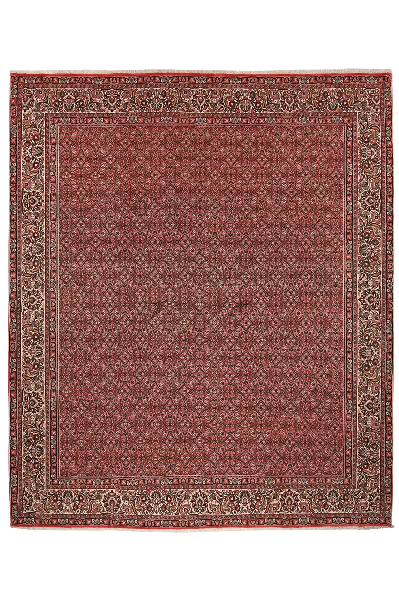 Bidjar · Handgeknüpft – Rot, 303x255 cm