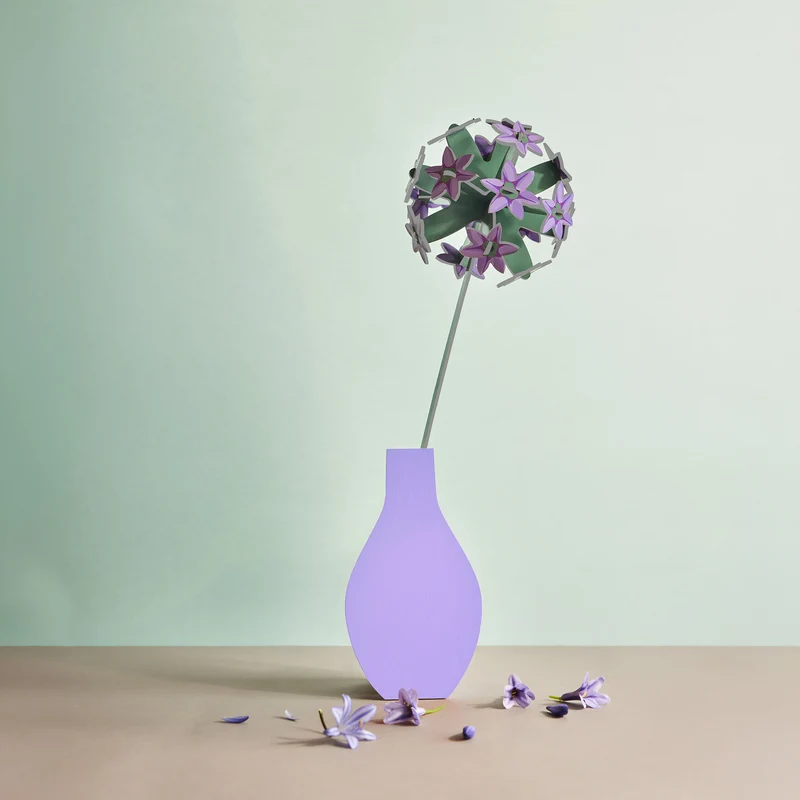 Allium