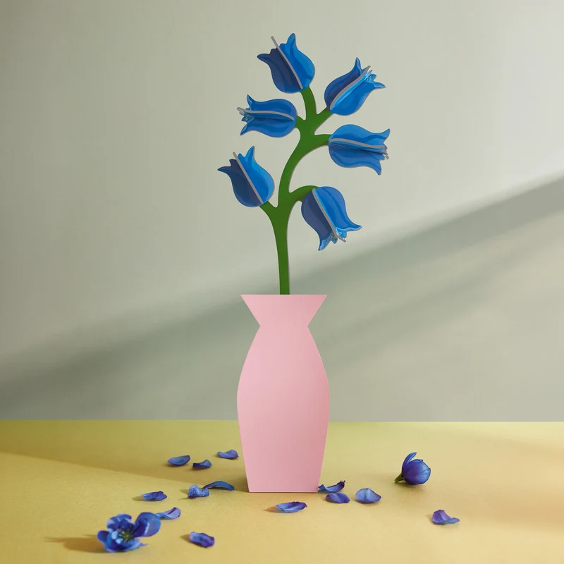 Campanula