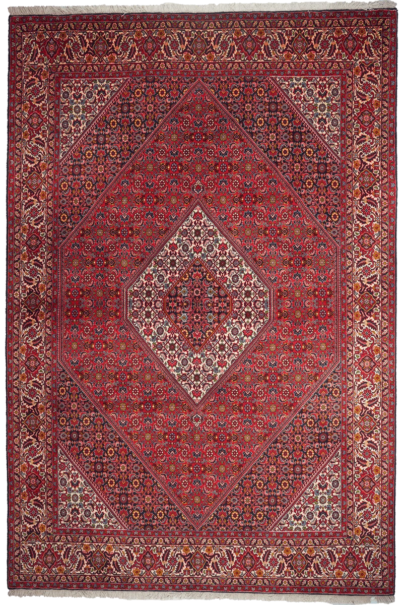 Bidjar Zandjan · Handgeknüpft – Rot, 295x198 cm