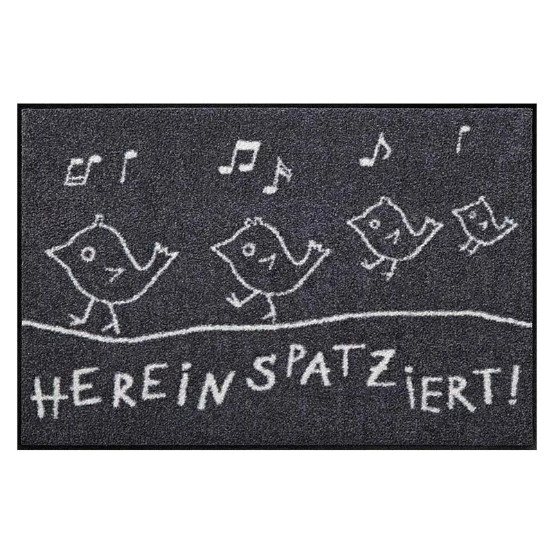 Fußmatte 50x75 Hereinspatziert grau