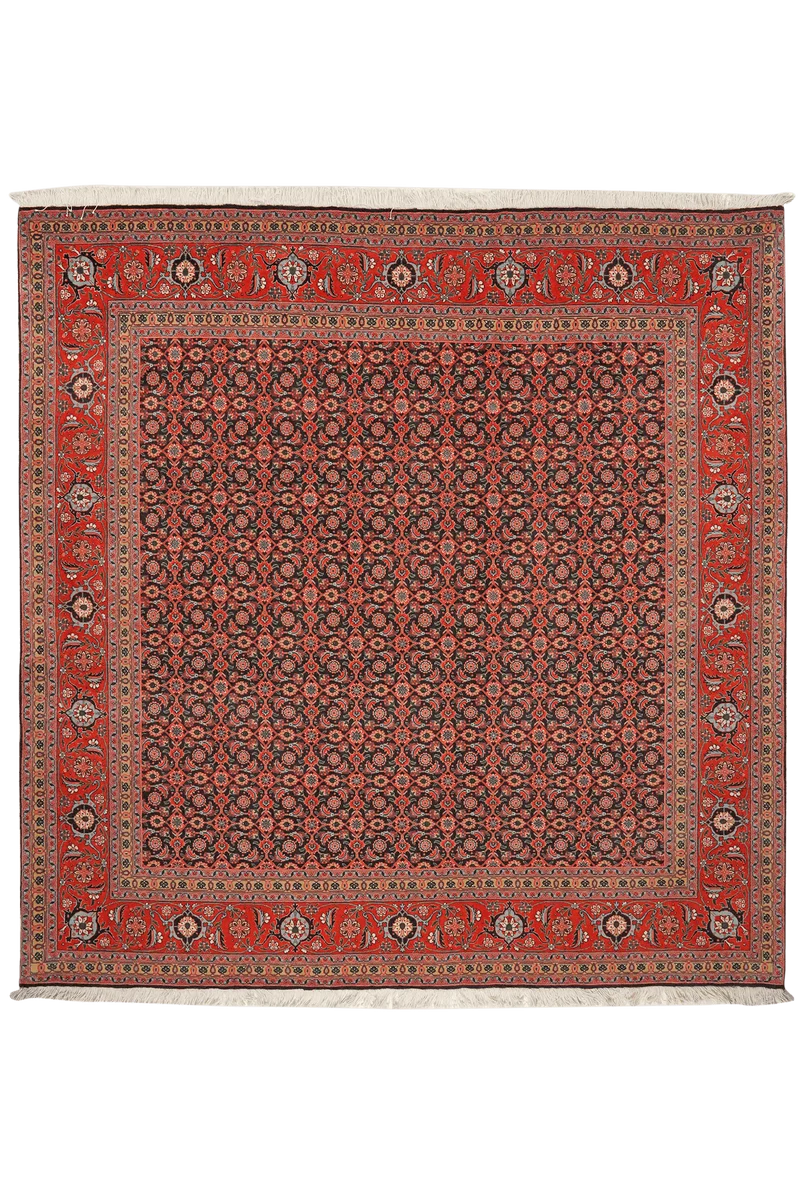 Tabriz 50 Raj · Handgeknüpft – Blau, 204x203 cm