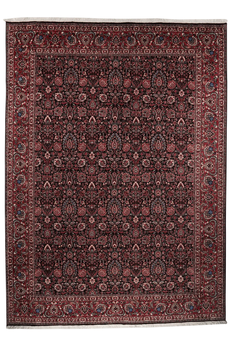 Bidjar · Handgeknüpft – Schwarz, 344x251 cm