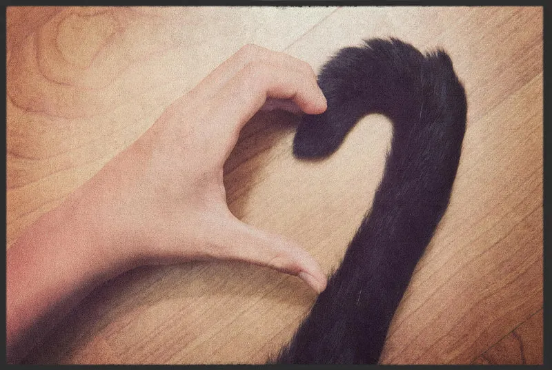Fussmatte Katze 10153