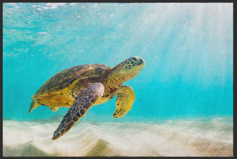 Fussmatte Schildkröte 10473