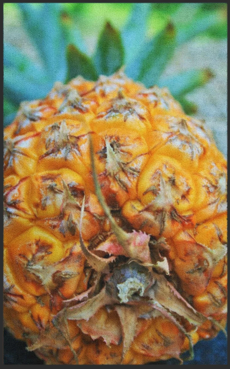 Fussmatte Ananas 7591