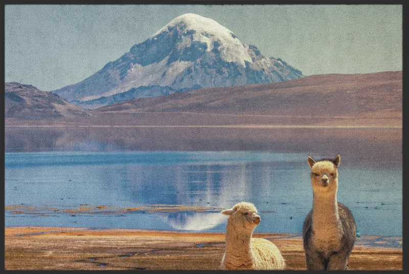 Fussmatte Alpaca 10331