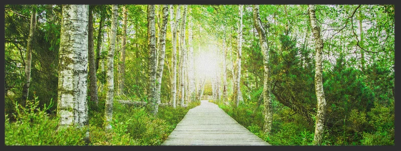 Läufer Waldweg 10270