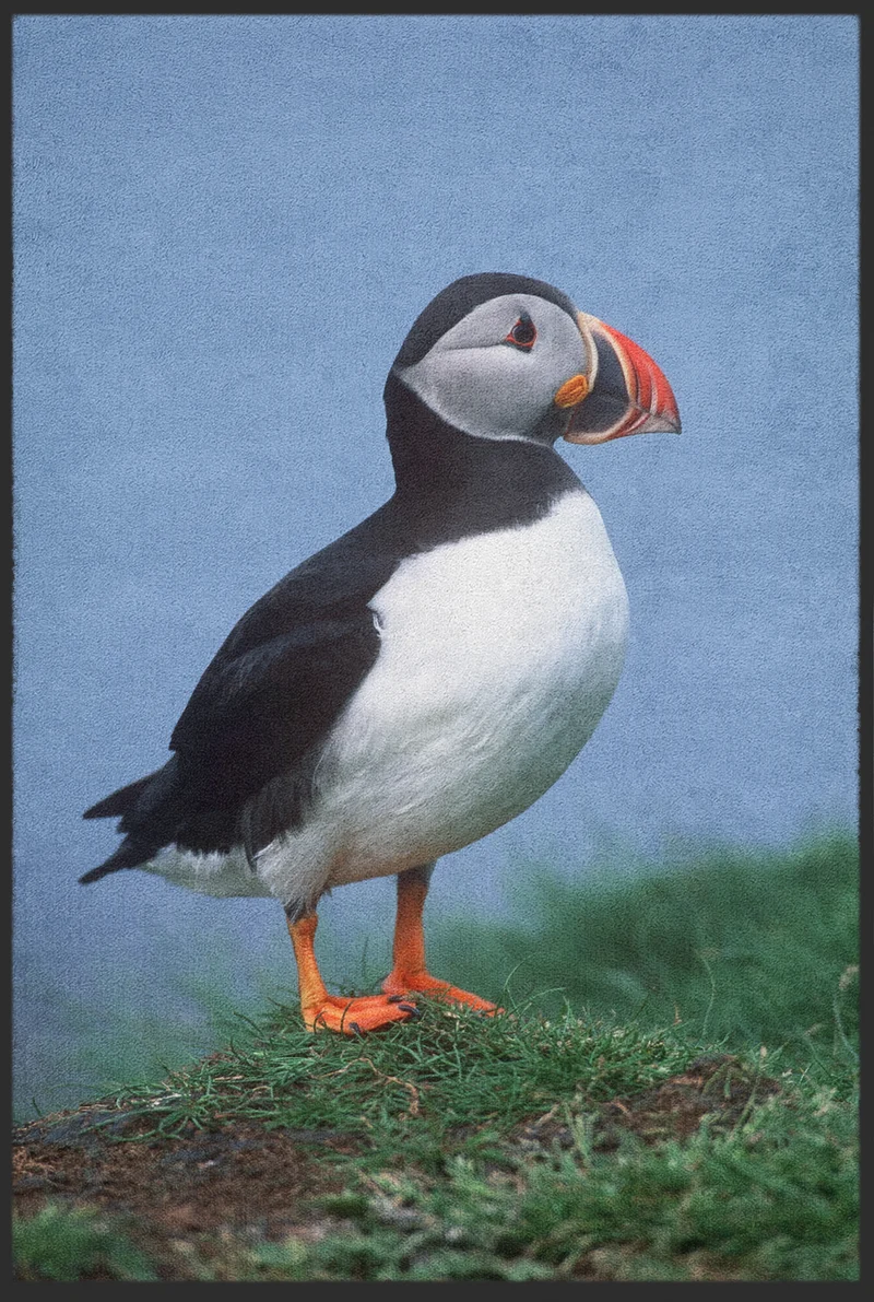 Fussmatte Papageientaucher 10792