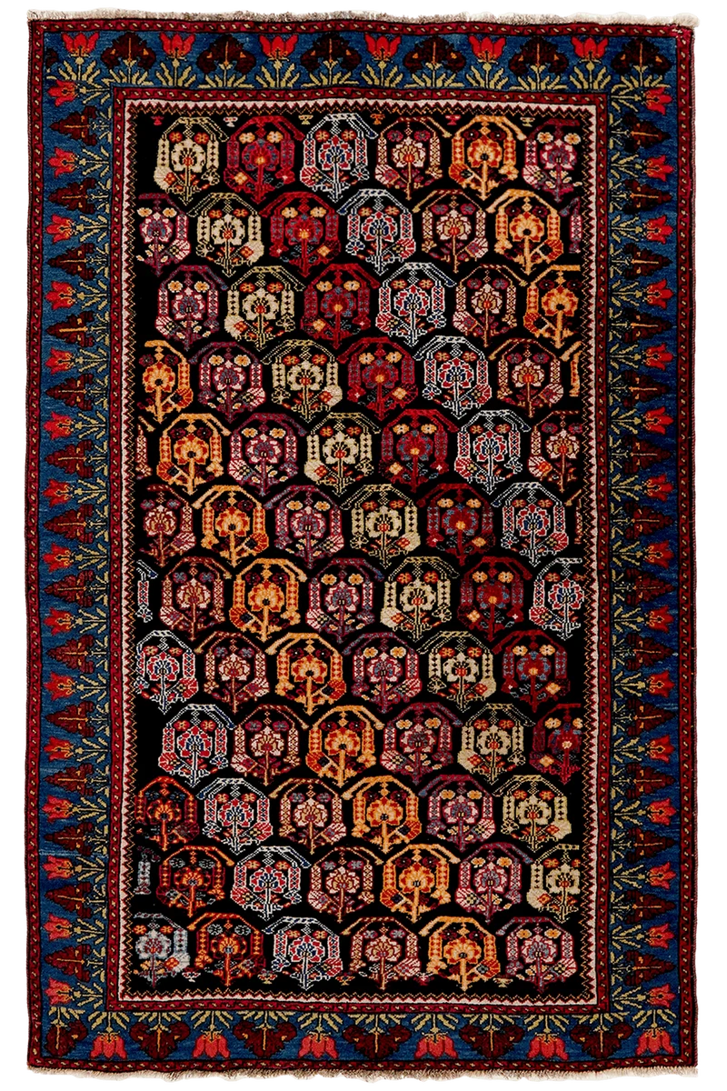 Henegoun · Handgeknüpft – Schwarz, 157x98 cm