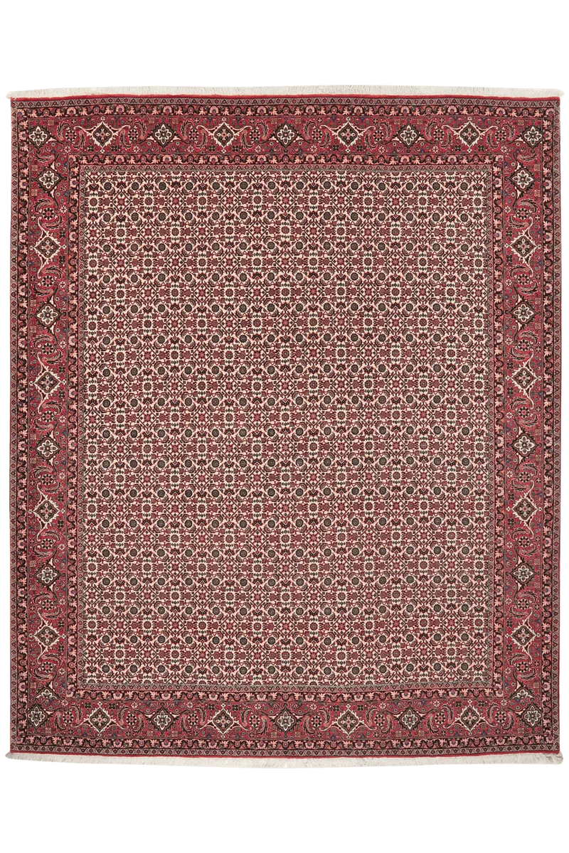 Bidjar · Handgeknüpft – Beige, 248x207 cm