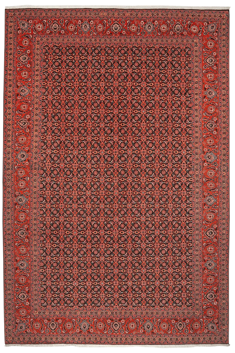 Tabriz 50 Raj · Handgeknüpft – Schwarz, 297x202 cm