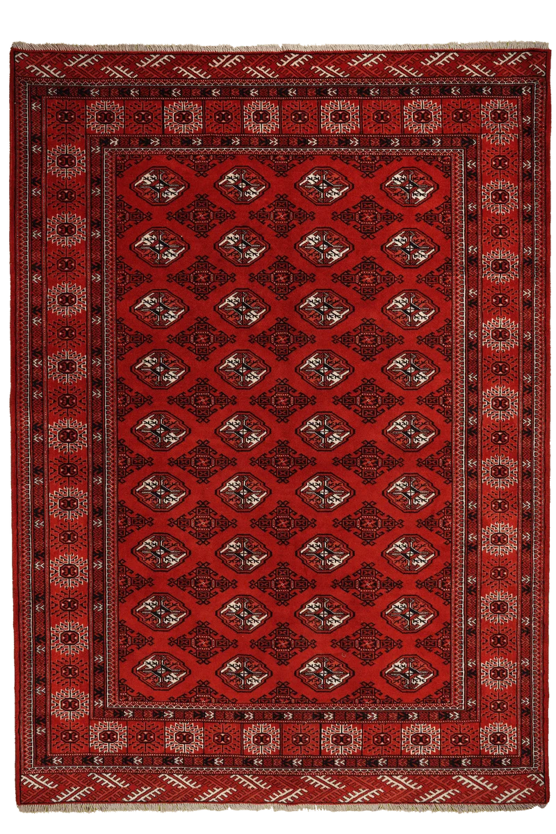 Turkman · Handgeknüpft – Rot, 294x210 cm