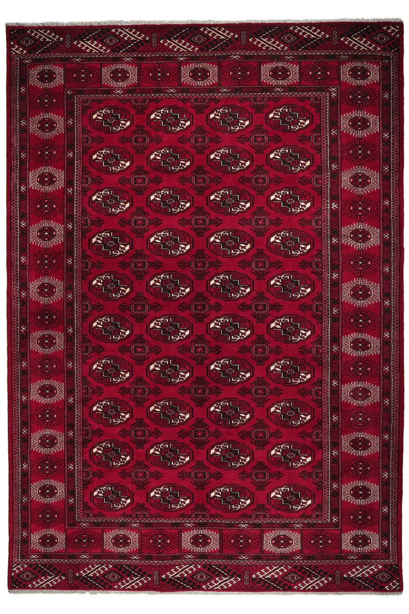 Turkman · Handgeknüpft – Rot, 286x199 cm