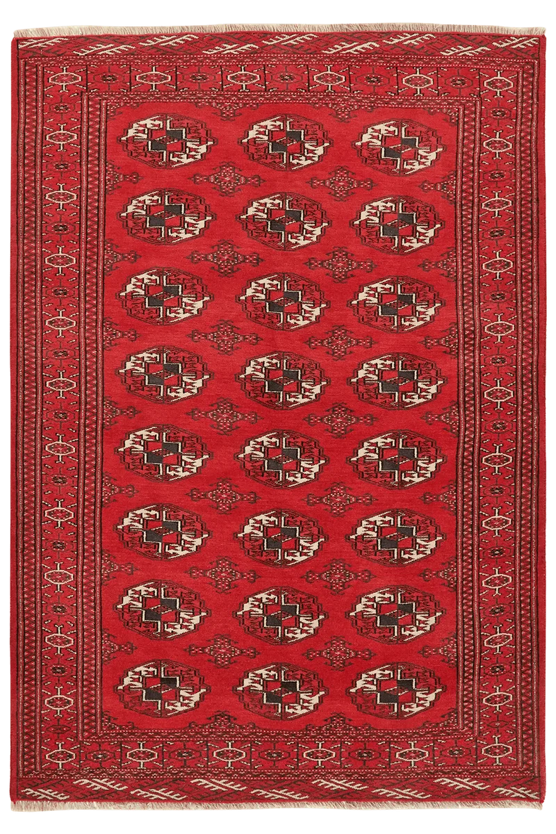 Turkman · Handgeknüpft – Rot, 165x115 cm
