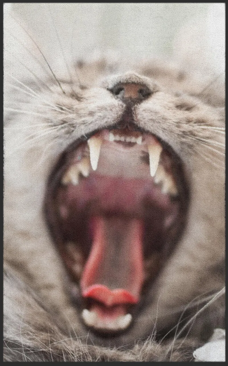 Fussmatte Katze 7309