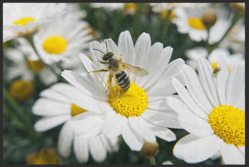 Fussmatte 10640