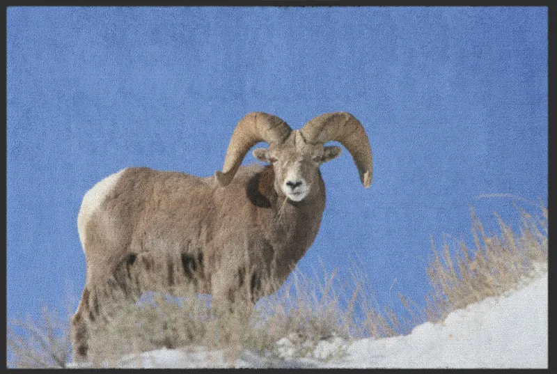 Fussmatte Gaisbock 6208