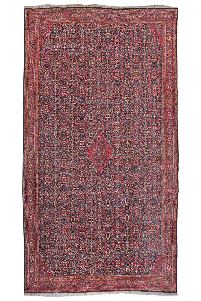 Meyghan · Handgeknüpft – Blau, 426x238 cm