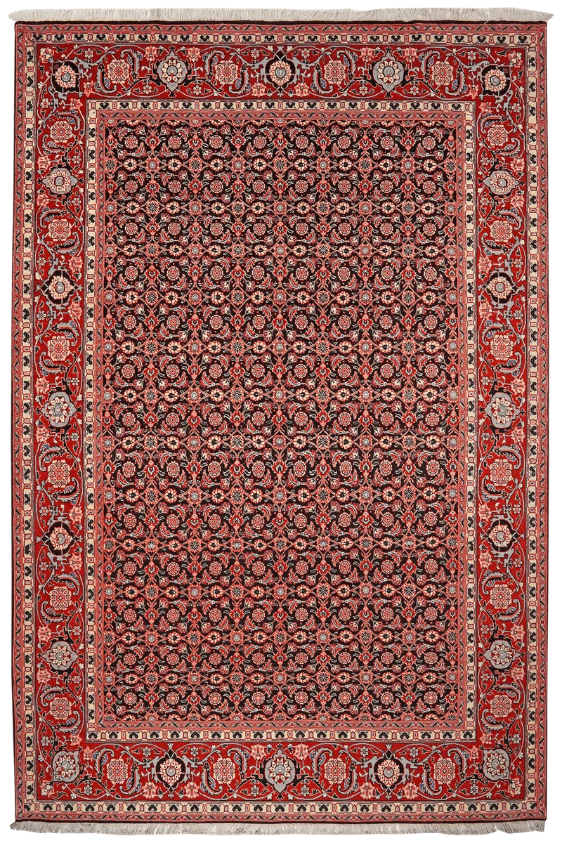 Tabriz 40 Raj · Handgeknüpft – Schwarz, 299x204 cm