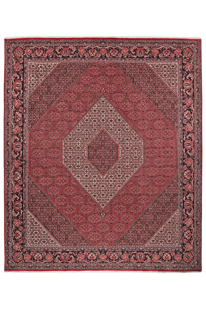 Bidjar · Handgeknüpft – Rot, 299x255 cm