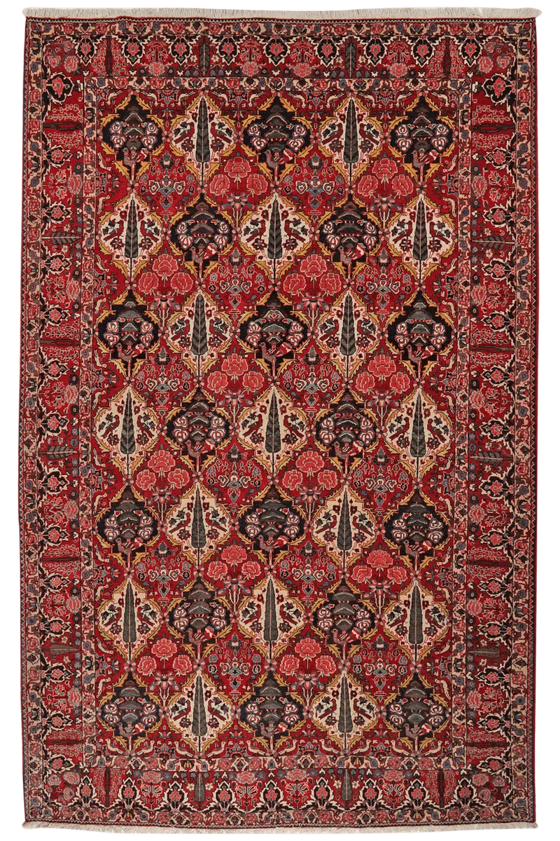 Bakhtiar · Handgeknüpft – Bunt, 341x212 cm