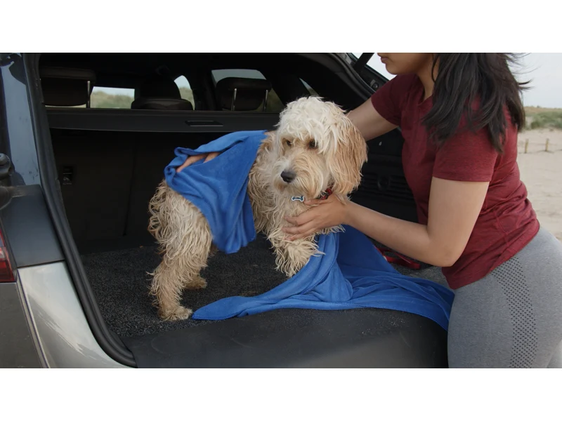 Car Protector Set Premium