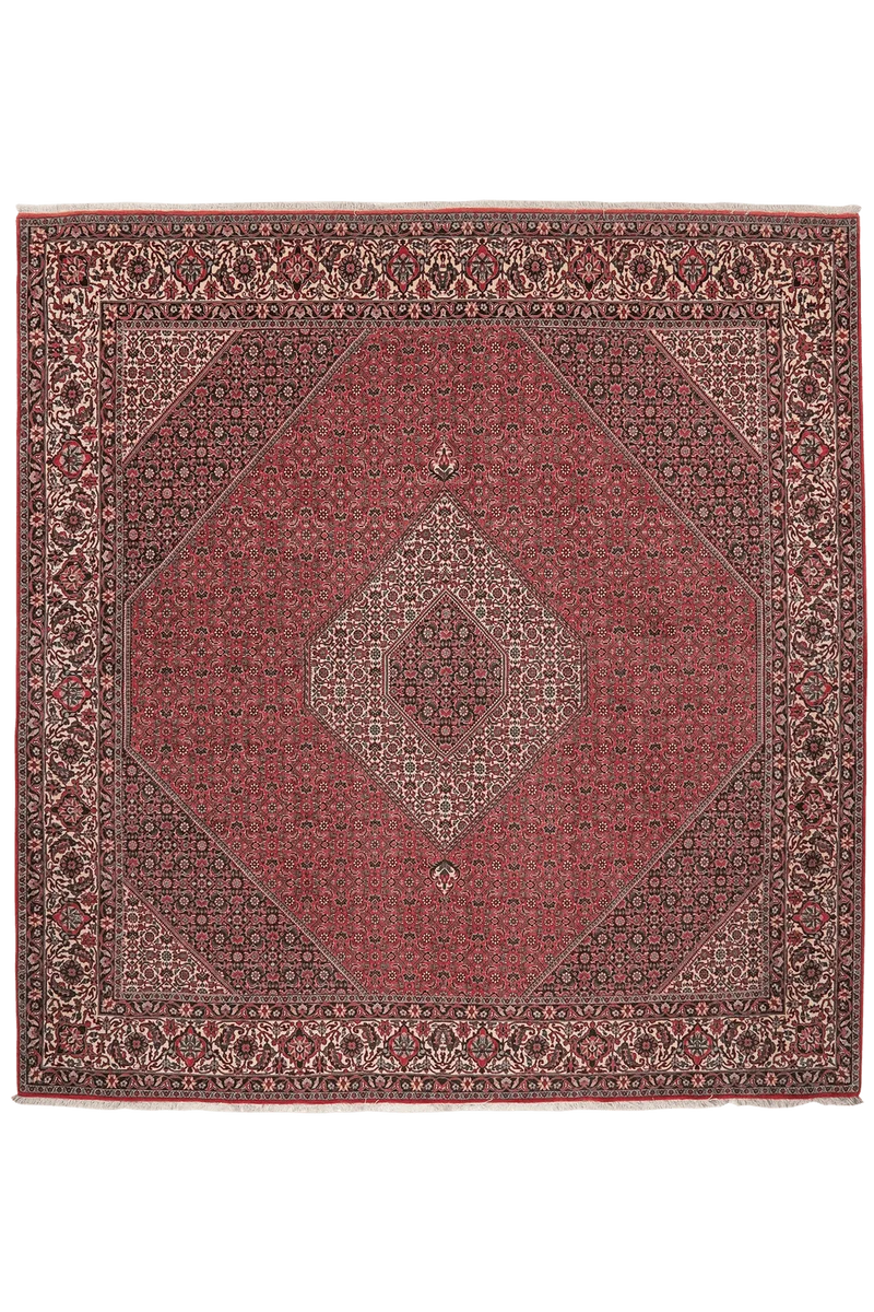Bidjar · Handgeknüpft – Rot, 268x254 cm