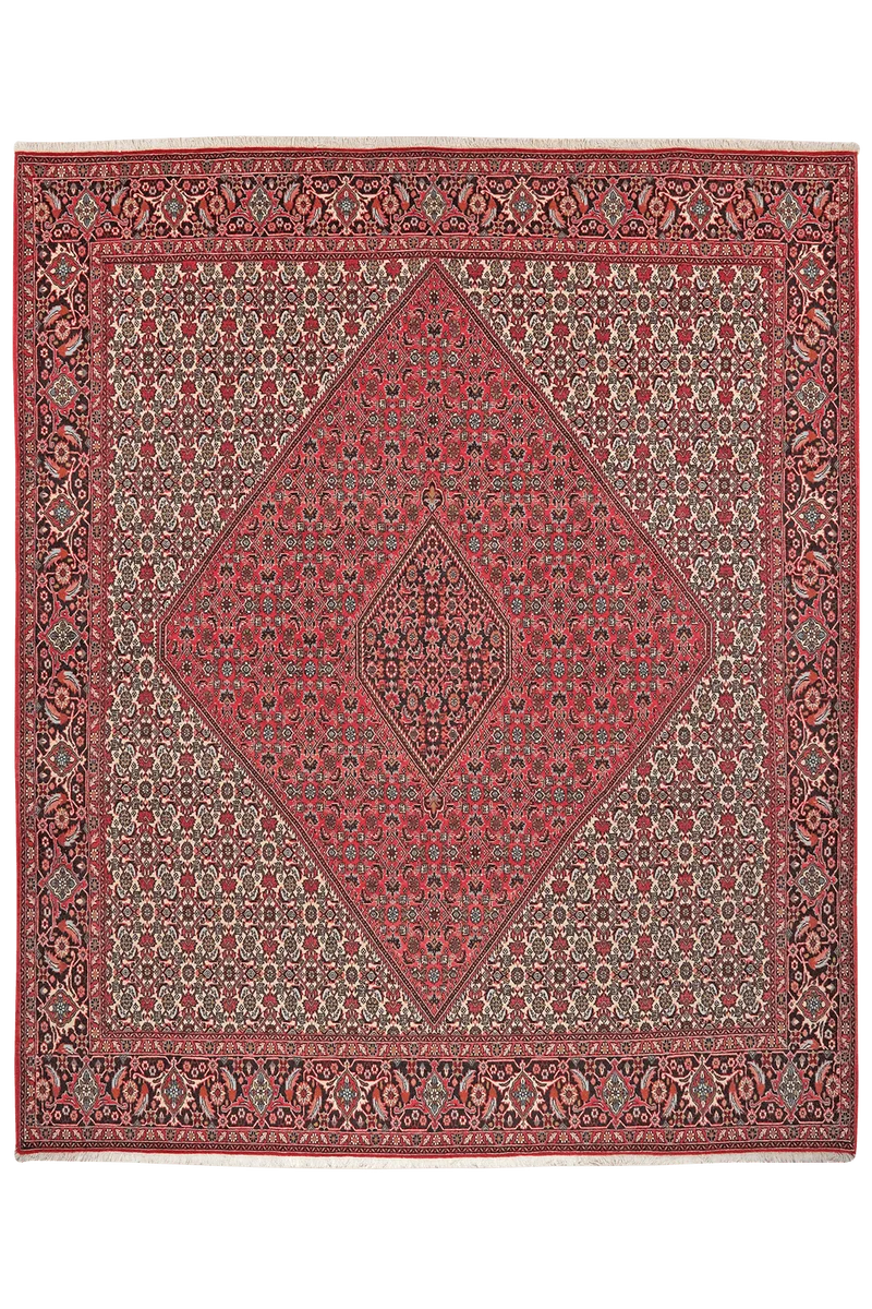 Bidjar Zandjan · Handgeknüpft – Rot, 301x249 cm