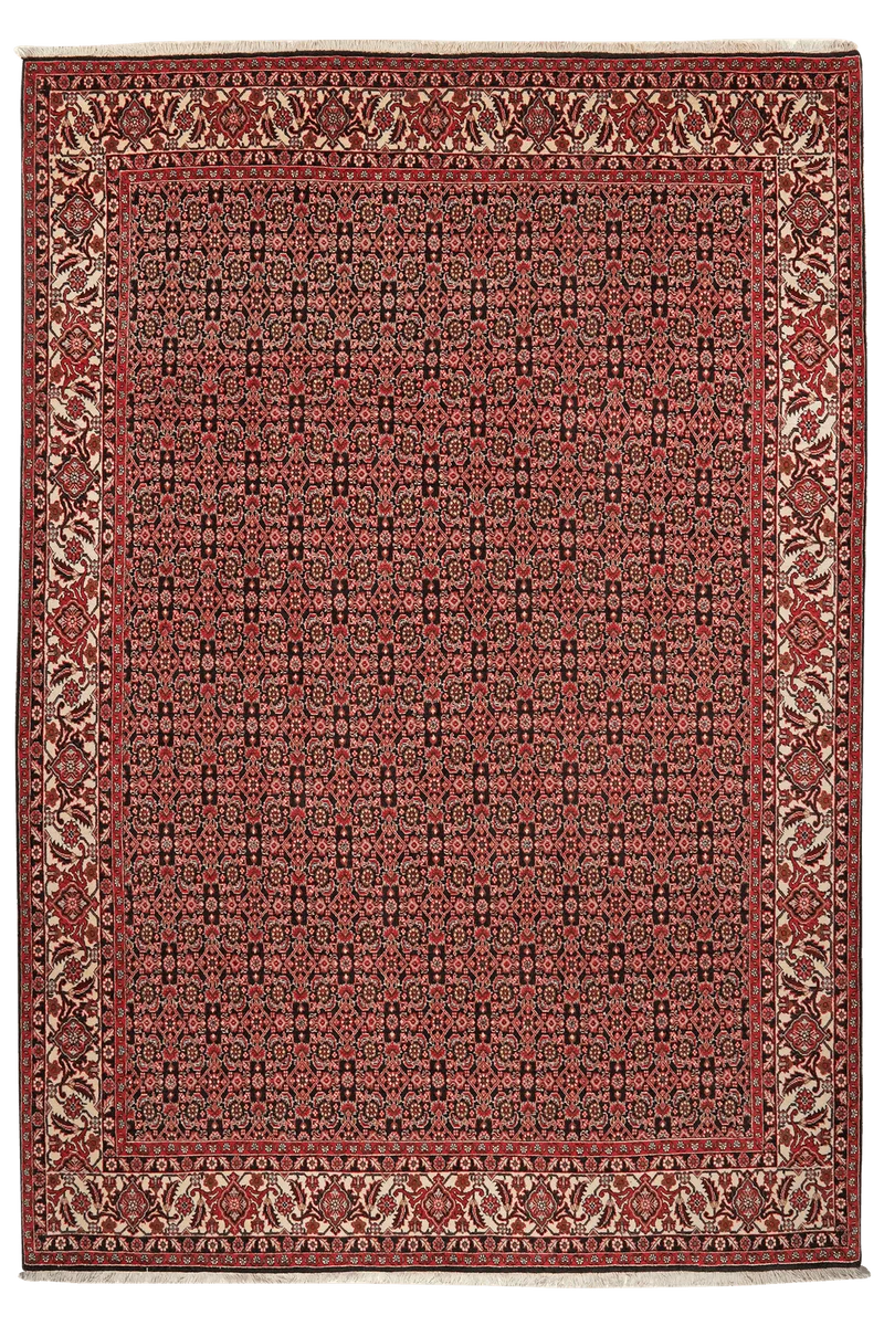Bidjar Zandjan · Handgeknüpft – Blau, 292x204 cm