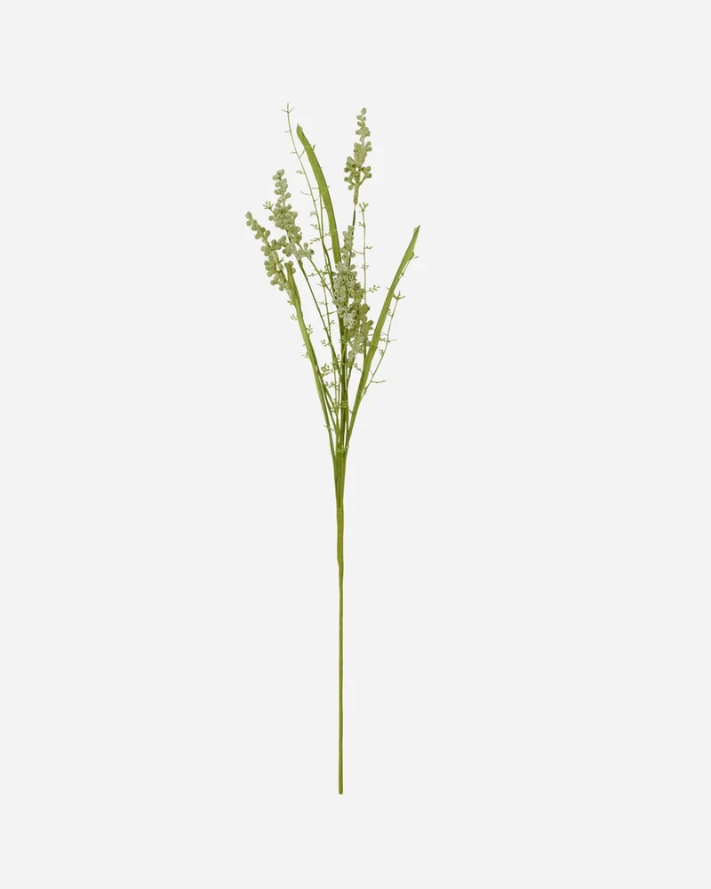 SALE - Schleierkraut weiße Blume