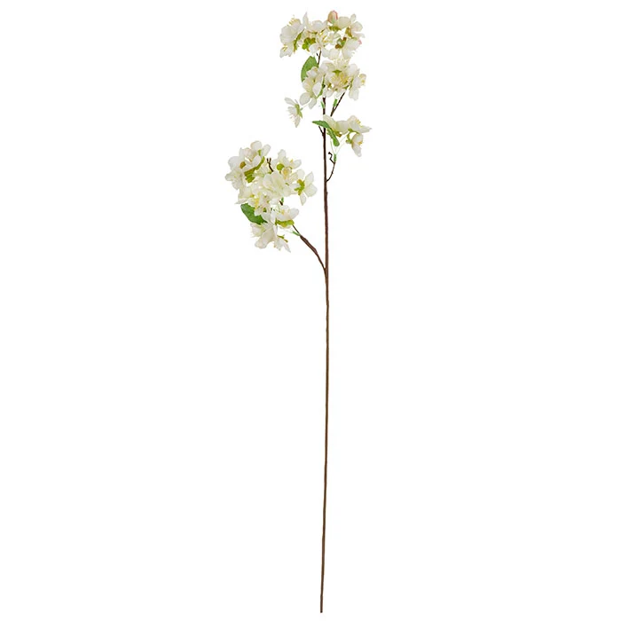 SONDERANGEBOT - Weiße Kirschblüte