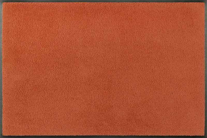 Eingangsmatte 60x90 Spice Rust
