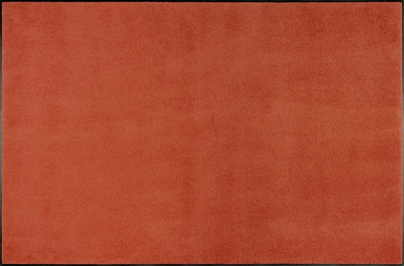 Wohnteppich 120x180 Spice Rust