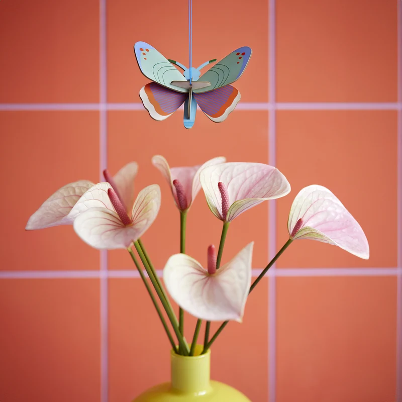 Lucky Charm Schmetterling