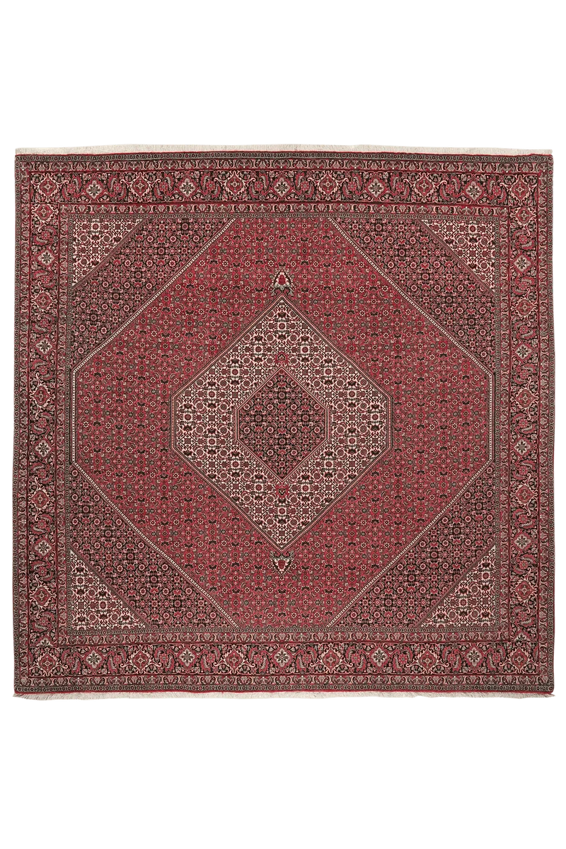 Bidjar · Handgeknüpft – Rot, 248x248 cm