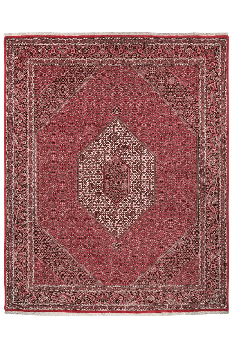 Bidjar · Handgeknüpft – Rot, 314x255 cm