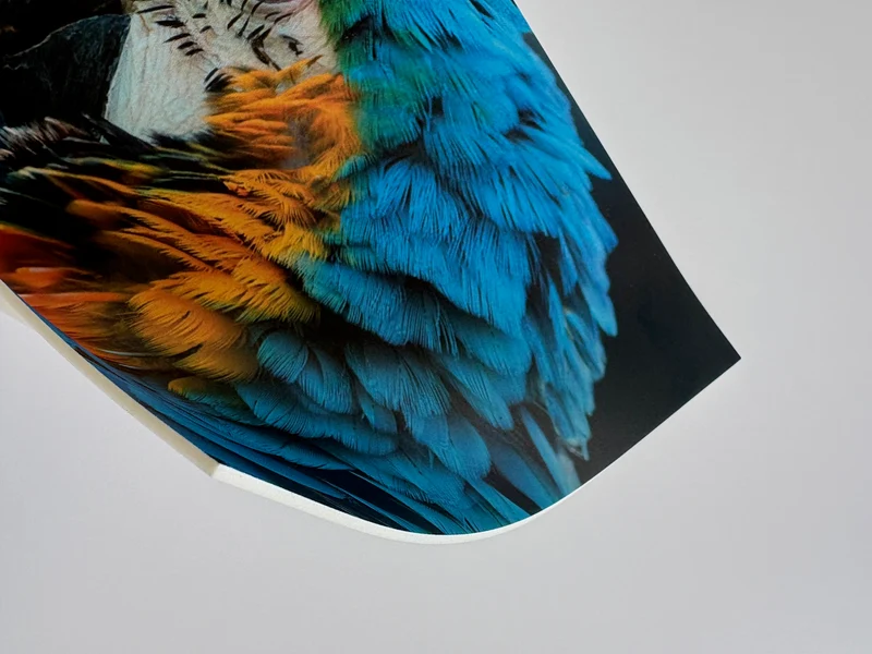 Vinylboden individuell bedruckt 30 qm