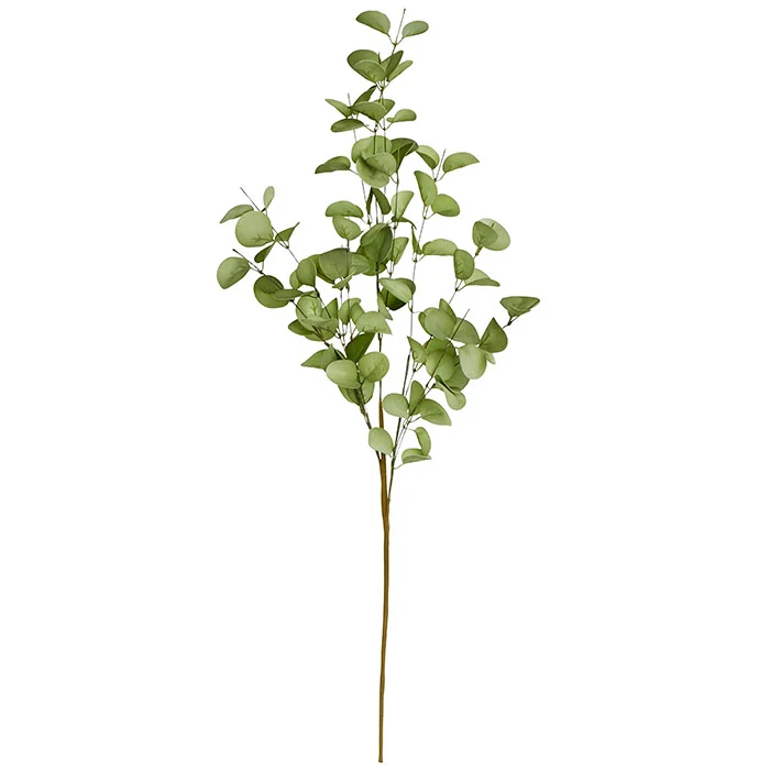 Efeu-Eukalyptus-Blume