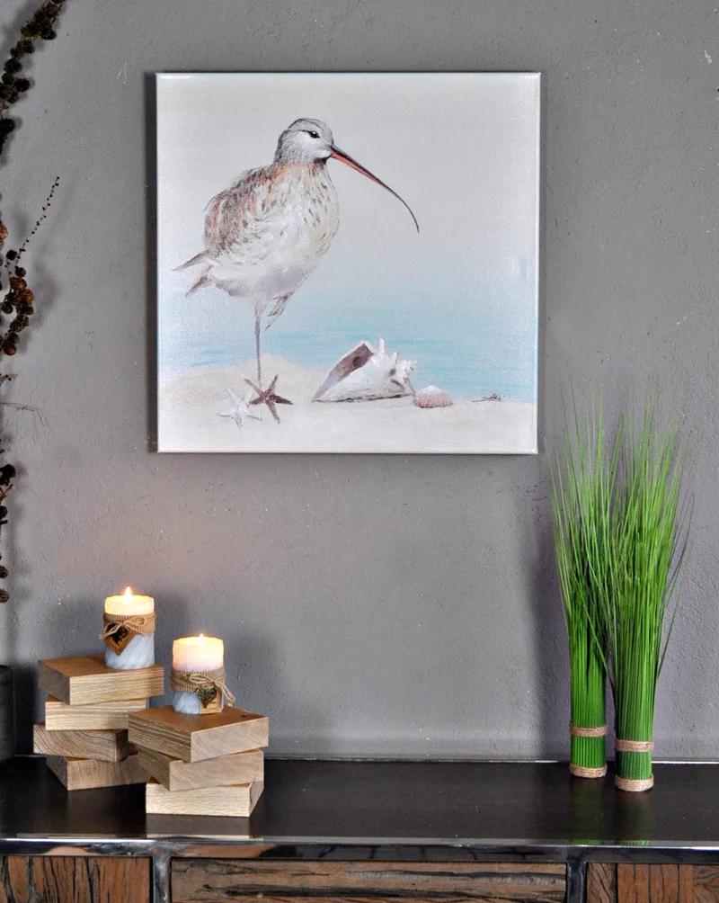 Leinwandbild Strandläufer Vögel am Meer mit Muscheln 60 x 60 cm