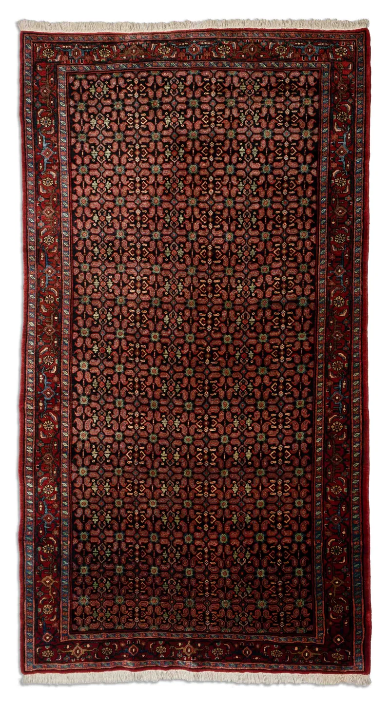Alter Bidjar | 288 x 152 cm | Nr. 5966