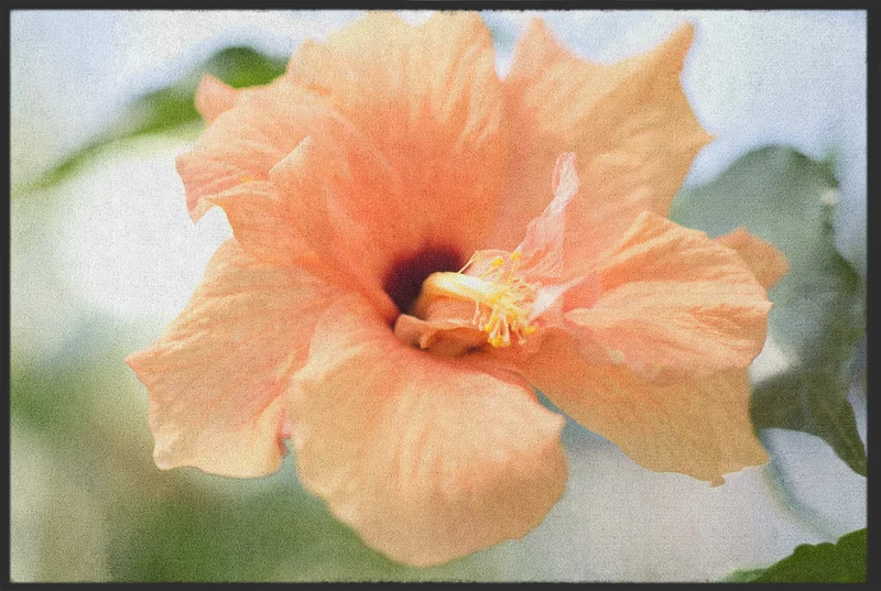 Fussmatte Blume 10990