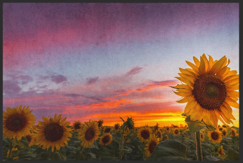Fussmatte Sonnenblume 10908