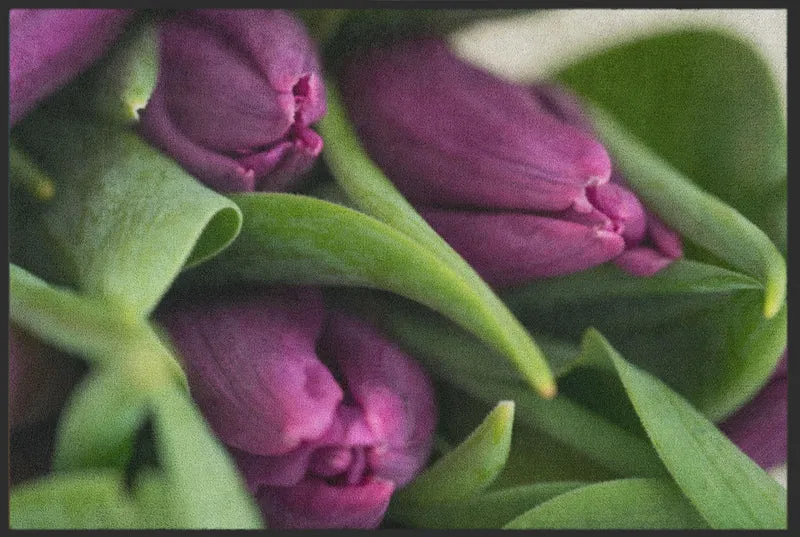 Fussmatte Tulpe 5076