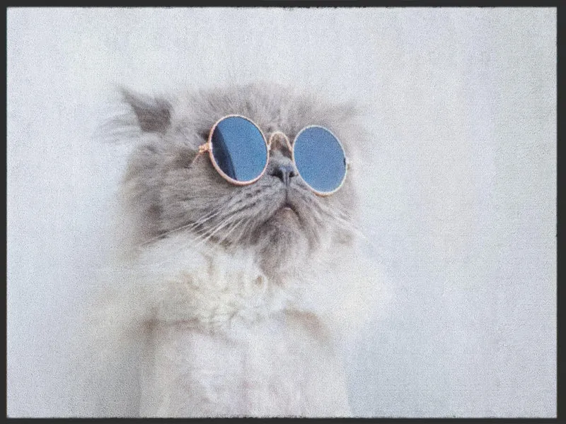 Fussmatte Katze 5001